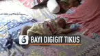 Warga desa Pasir Jambu Kabupaten Bogor resah dengan peristiwa bayi digiit tikus yang terjadi di kampungnya. Mereka  selalu menggendong bayinya kemanapun pergi.
