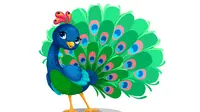 How To Draw Peacock: A Step-By-Step Guide To Capture The Beauty Of The Majestic Bird