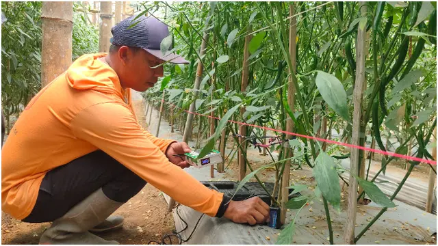 Cerita Petani Majalengka Menjaga Inflasi Dengan Sentuhan Teknologi