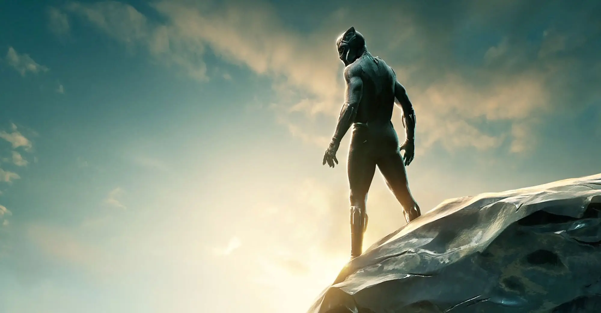Black Panther. (Marvel Studios / Walt Disney Studios Motion Pictures)