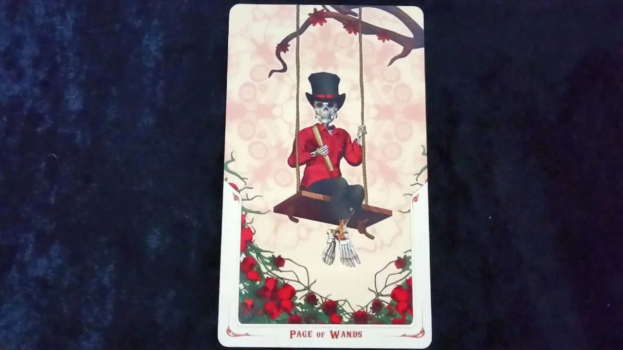 Tarot