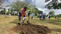 Menanam Kembali Pohon Ulin di Hutan Kota, Mengembalikan Tanaman Khas Kalimantan