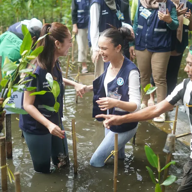 7 Momen Yasmin Napper, Asha Assuncao dan Haico Jadi Relawan Tanam Mangrove
