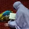 Surah Al Falaq Ayat 1-5 Lengkap Arab Latin dan Arti, Perlindungan dari 4 Kejahatan
