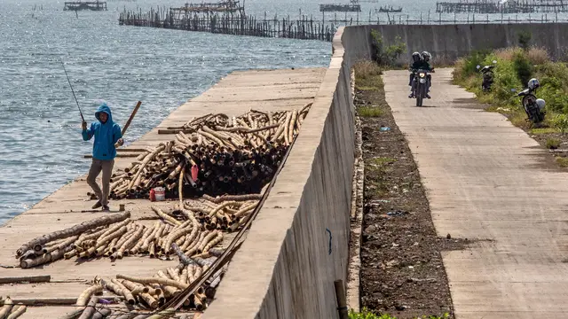 Teknologi di Balik Proyek Tanggul Laut di Jakarta Utara, Adopsi Sistem dari Jepang