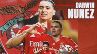 Benfica - Ilustrasi Darwin Nunez (Bola.com/Adreanus Titus)