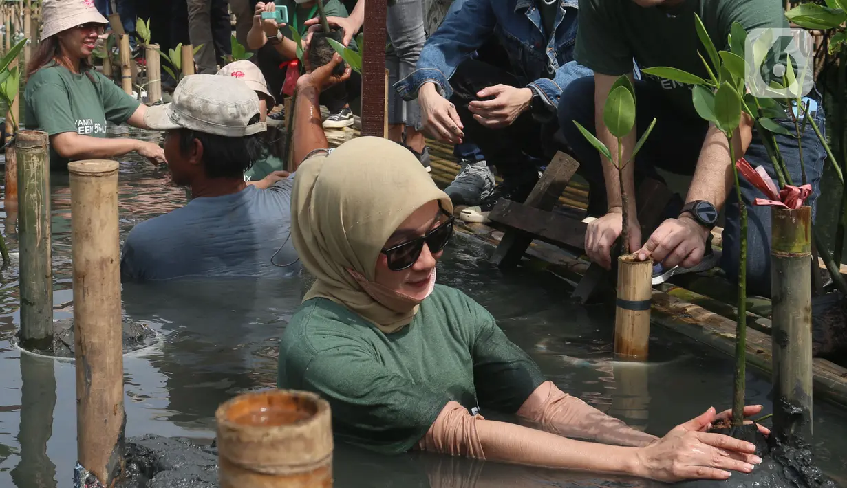 Pengunjung membudidayakan bibit pohon mangrove di Taman Wisata Alam Mangrove, Angke Kapuk, Jakarta, Kamis (23/6/2022). Kawasan hijau seluas 99,82 hektare ini dikenal sebagai kawasan konservasi alam mangrove yang dimanfaatkan untuk wisata dan rekreasi alam. (merdeka.com/Arie Basuki)