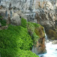 Tunggu apa lagi? Ayo 'ngumpet' di Bali!