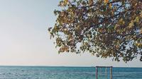 Ilustrasi tempat wisata Kepulauan Karimunjawa, Jepara. (Photo by Yohanes Dicky Yuniar on Unsplash)