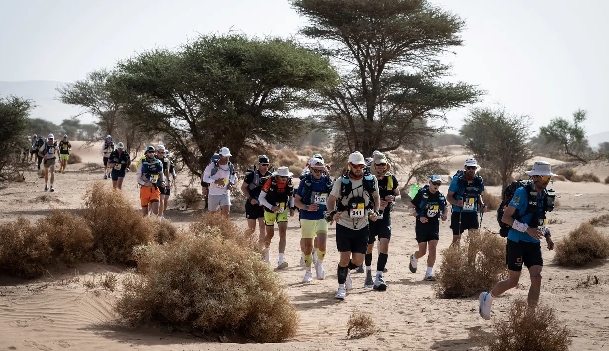 Sejumlah pelari berkompetisi pada stage kedua Marathon des Sables 2023 yang menempuh antara Oued Tijekht hingga Jebel El Otfal di Gurun Sahara, Maroko, 24 April 2023. Ajang yang berlangsung dari 21 April hingga 1 Mei 2023 tersebut diikuti oleh 1200 pelari dan akan menempuh 250 km. (AFP/Jean-Philippe Ksiazek)