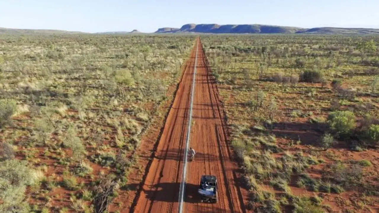 Pagar kucing terpanjang di dunia dibangun untuk mengembalikan populasi hewan endemik Australia (AP/BBC)