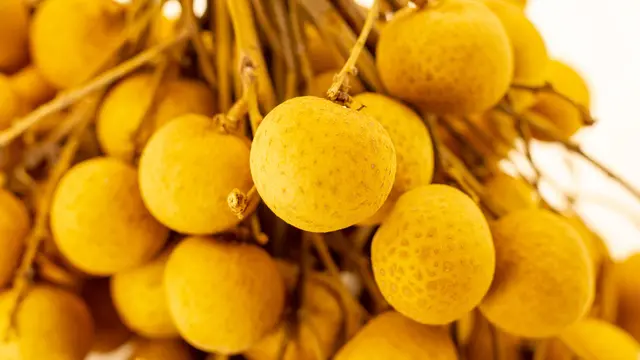 Manfaat Buah Kelengkeng