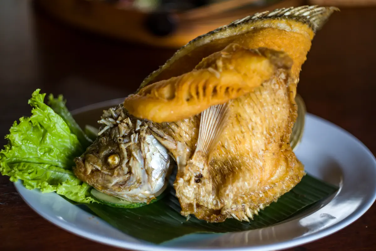 ikan air tawar