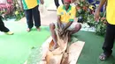 Salah seorang dari Sorong Selatan tampak sedang memukul batang sagu yang telah dipotong dengan kayu yang dibentuk segitiga, pengolahan tradisional ini disebut dengan Nani, Senayan, Jakarta. (3/5/2014) (Liputan6.com/Gilar Dhani)