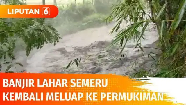 Diguyur hujan lebat, Gunung Semeru kembali memuntahkan abu vulkanik dan banjir lahar. Banjir lahar ini menerjang aliran sungai di lereng Semeru. Akibatnya sungai meluap dan menerjang kawasan permukiman warga.