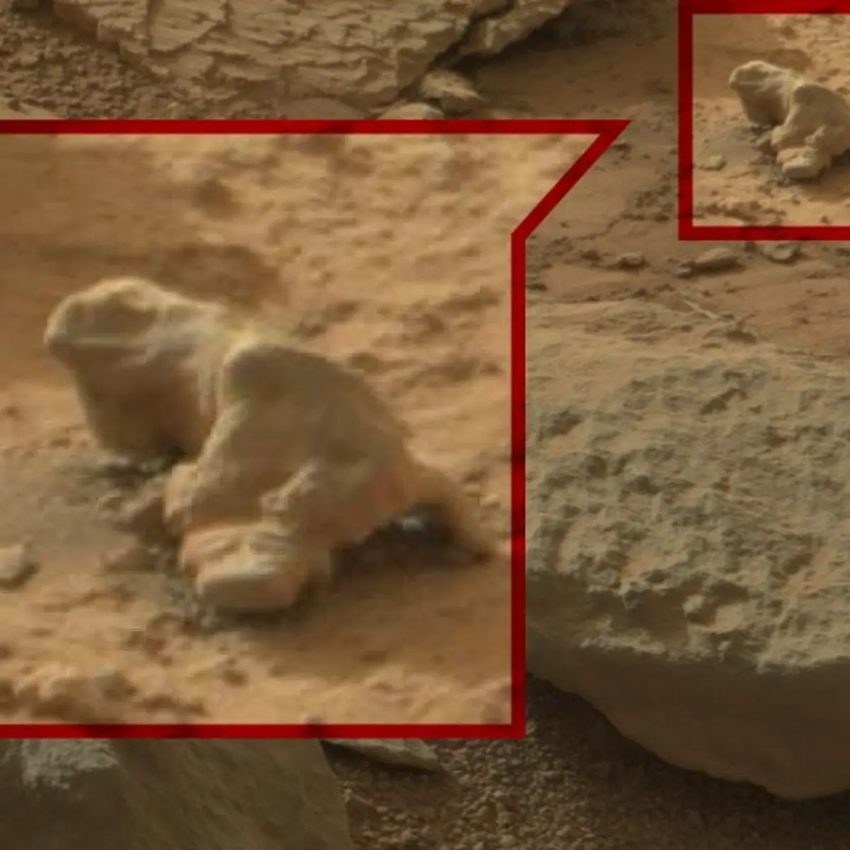 Iguana Mars Rover