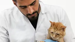 Mahasiswa kedokteran hewan, Ahmad Taher memotong kuku kucing yang menginap di hotel khusus kucing di Basra, Irak, 28 Maret 2018. Harga yang dibandrol untuk penginapan di hotel itu sekitar 5000 dinar Irak atau setara US$4.20. (HAIDAR MOHAMMED ALI/AFP)