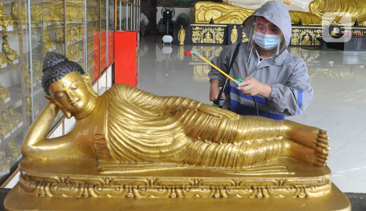 Umat menyemprotkan cairan disinfektan ke patung Buddha tidur di Vihara Buddha Dharma dan 8 Posat, Bogor, Jawa Barat, Minggu (7/2/2021). Ritual pencucian patung dan bersih-bersih ini dilakukan dalam rangka menyambut perayaan tahun baru China atau Imlek. (merdeka.com/Arie Basuki)