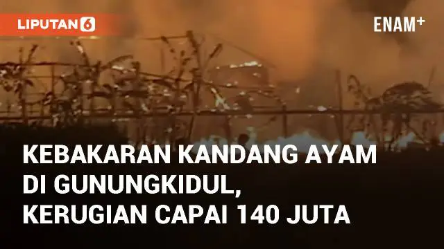 VIDEO: Kebakaran Kandang Ayam di Gunungkidul, Kerugian Ditaksir Capai Rp. 140 Juta