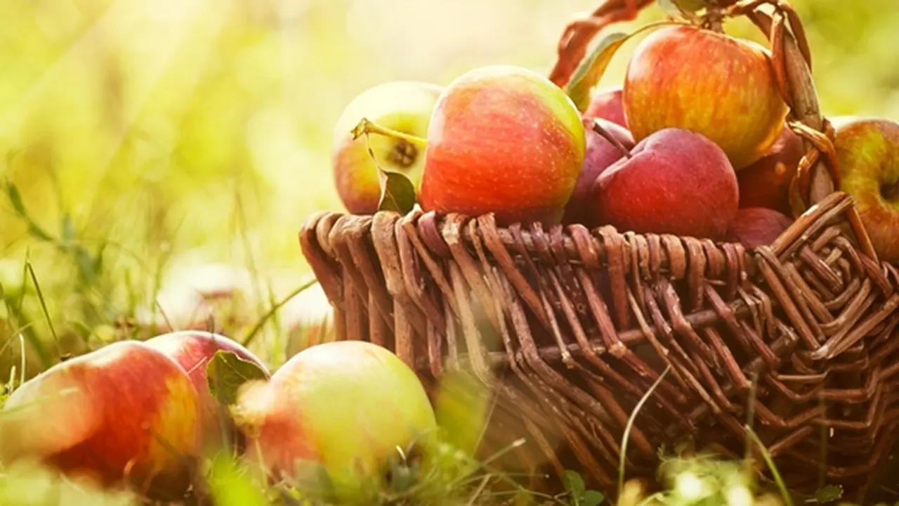 Foto: copyright shutterstock.com
