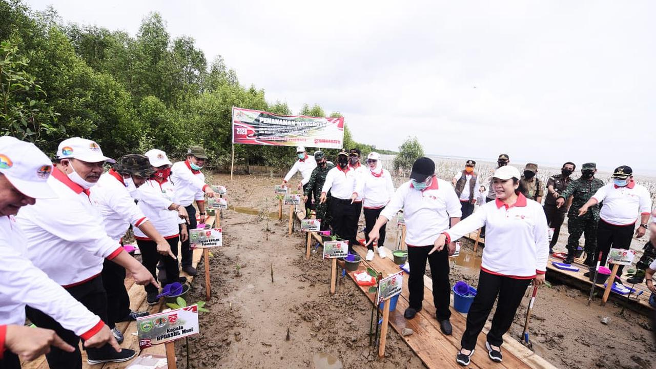 Taman Wisata Mangrove di Sumsel Siap Saingi Bali