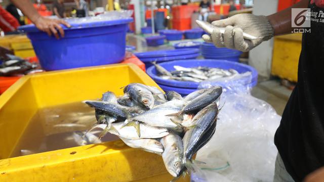 Ekspor Perikanan Melonjak 24 Persen