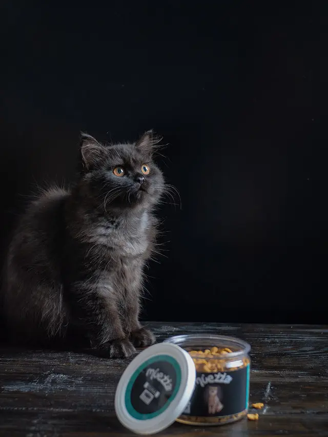 Tuna dan Salmon jadi Pilihan Tepat