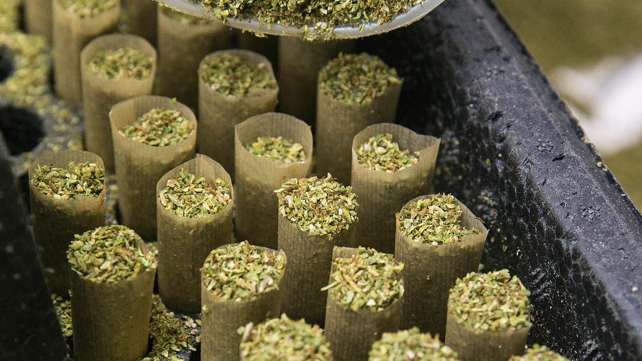 20160327- Proses Pembuatan Rokok Ganja di Israel-AFP Photo