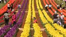 Pengunjung berada di antara bunga tulip selama Tesselaar Tulip Festival di Silvan, Dandenong Ranges, Melbourne (27/9). Pengunjung antusias melihat lebih dari satu juta warna-warni bunga, termasuk 900.000 tulip. (AFP Photo/William West)