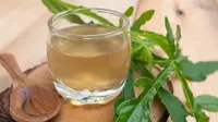 20 Khasiat Daun Pepaya, Solusi Alami untuk Tubuh Sehat dan Kulit Cantik