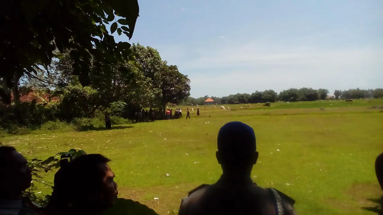 Misteri Jasad di Bawah Pohon Mangga dan 2 Pembunuhan Terpisah