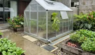 Cara Membuat Greenhouse Mini Tahan Panas dan Hujan, Cocok untuk Iklim Tropis Indonesia