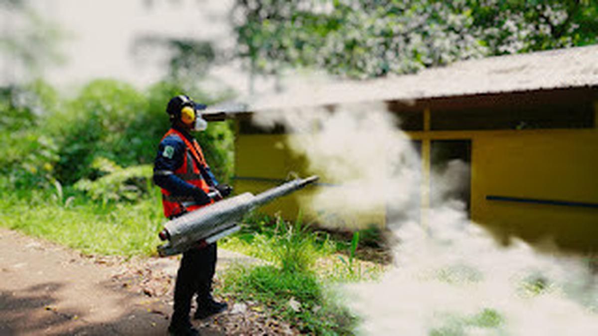 Ini Pentingnya Perusahaan Terapkan Keselamatan dan Kesehatan Kerja