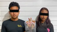Muda-Mudi Medan Ditangkap Edarkan Ekstasi Bermerek
