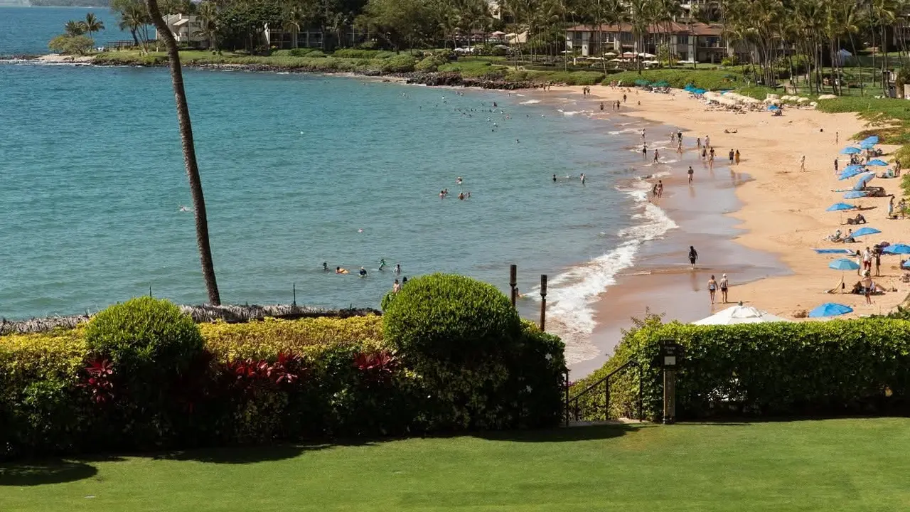 Ilustrasi pantai di Maui, Hawaii.