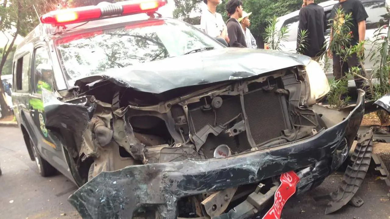 Napi Kabur di Depok