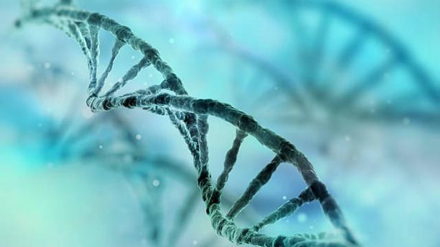 Gen Adalah Pewarisan Sifat dari Makhluk Hidup, Pahami Fungsi dan Strukturnya