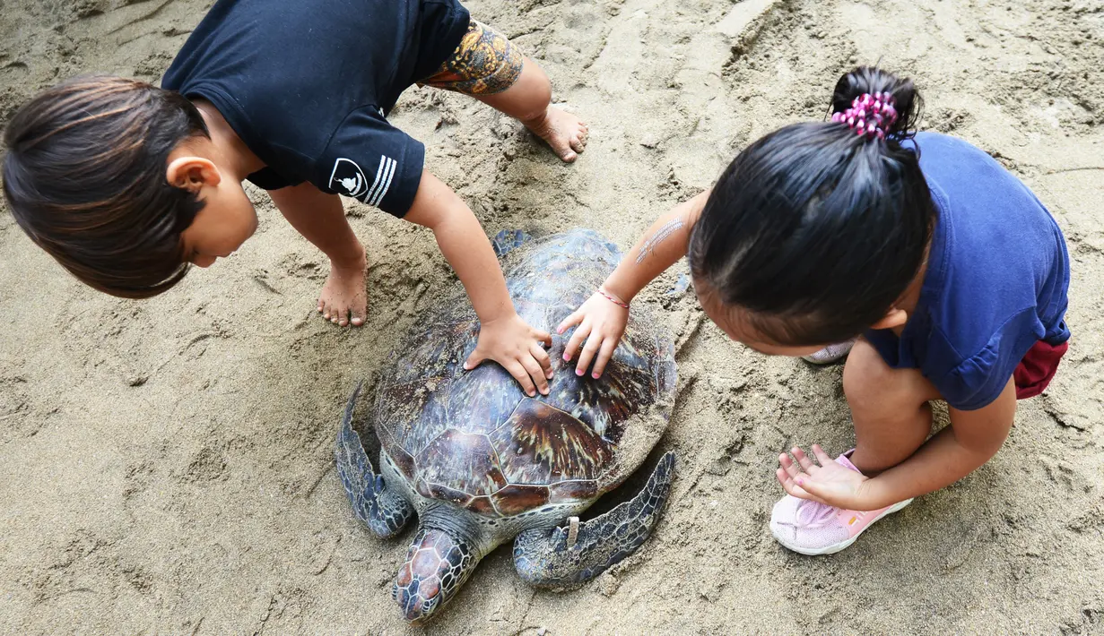 Dua anak memegang kura-kura hijau setelah dilepaskan di pantai Kuta di pulau Bali (27/3). Sekitar 18 kura-kura hijau diburu untuk diambil dagingnya dan dilepaskan kembali ke laut setelah polisi menangkap pelaku di Kabupaten Gianyar pada 13 Maret. (AFP Photo/Sonny Tumbelaka)