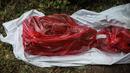 Sisa-sisa manusia ditempatkan di tas merah yang digali dari kuburan massal rahasia di negara bagian Veracruz, Meksiko, Jumat (7/9). Ini bukan yang pertama polisi mendapat informasi dari masyarakat terkait lokasi kuburan massal. (AP/Felix Marquez)