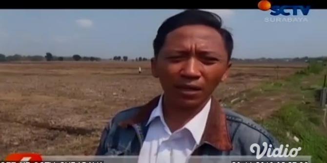 VIDEO: Temuan Mayat Wanita Tanpa Identitas dengan Kondisi Mengenaskan di Jombang