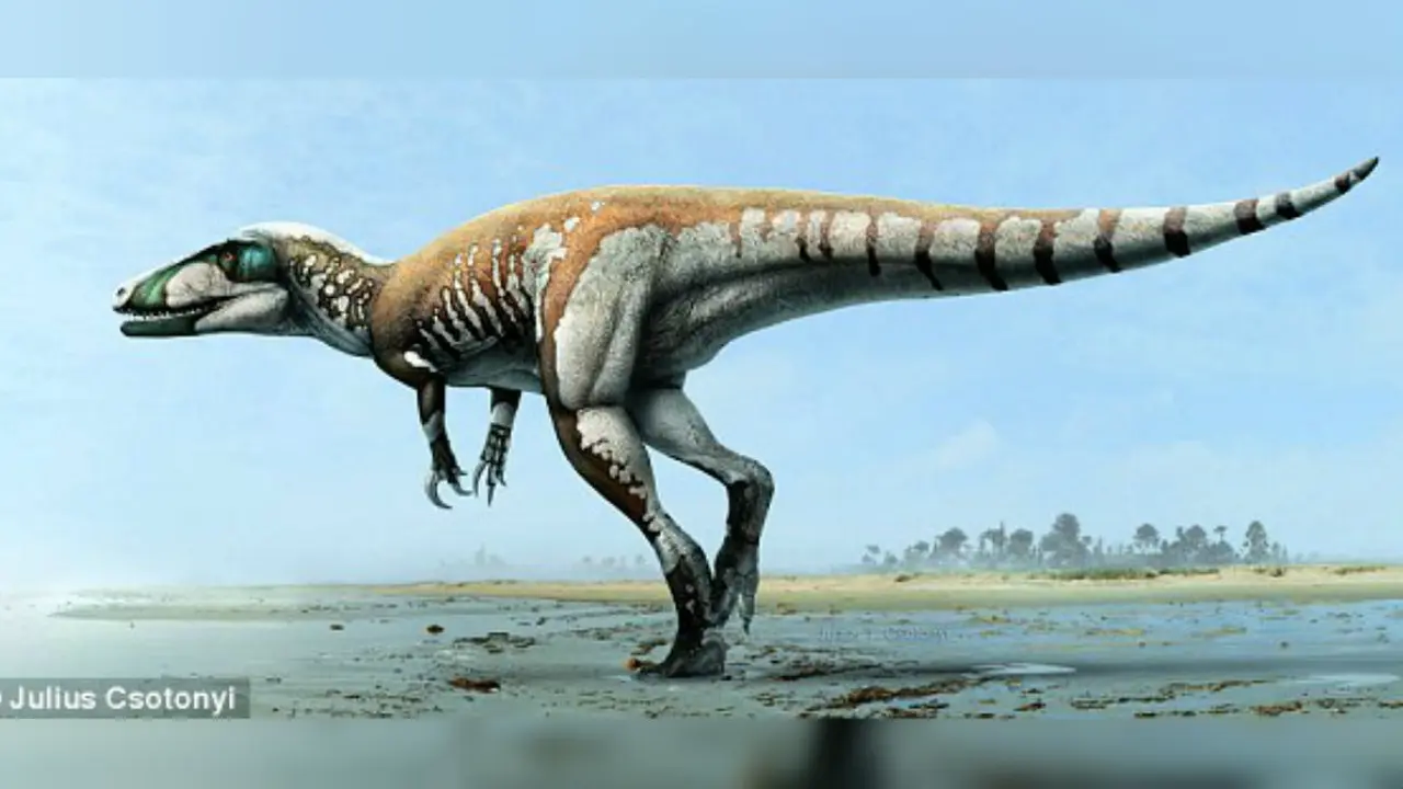 Dinosaurus 'Cakar Petir', Predator Tertua di Australia