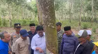 Transmigran Bertaruh Hidup di Kebun Karet, bak Ayam Kehilangan Induk