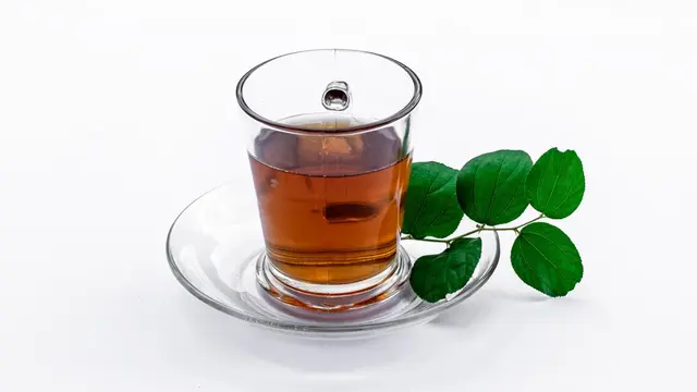 resep rebusan seduhan daun bidara kesehatan