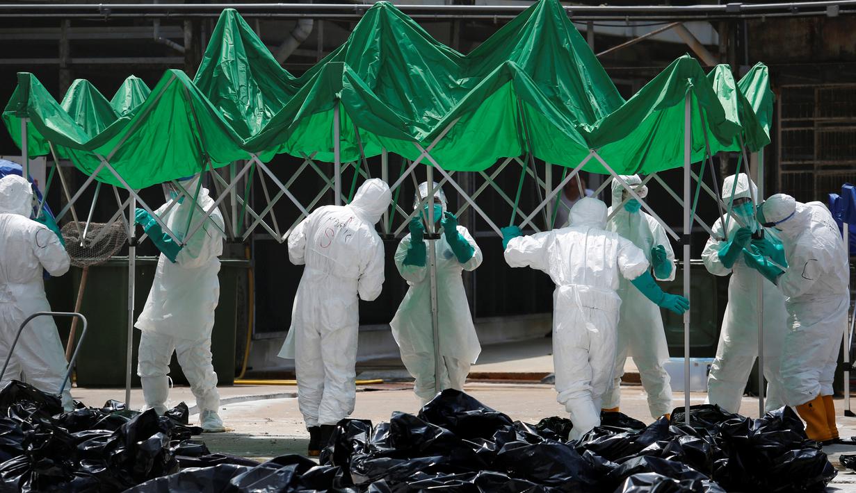 Sejumlah petugas menyiapkan tenda untuk memisahkan unggas di sebuah pasar di Hong Kong, (7/6).  Pihak berwenang memutuskan untuk menangguhkan perdagangan unggas hidup setelah pemeriksaan menunjukkan adanya virus flu burung H7N9. (REUTERS/Bobby Yip)