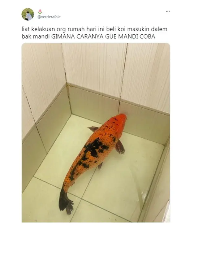 6 Potret Netizen saat Pelihara Ikan Ini Bikin Geleng Kepala