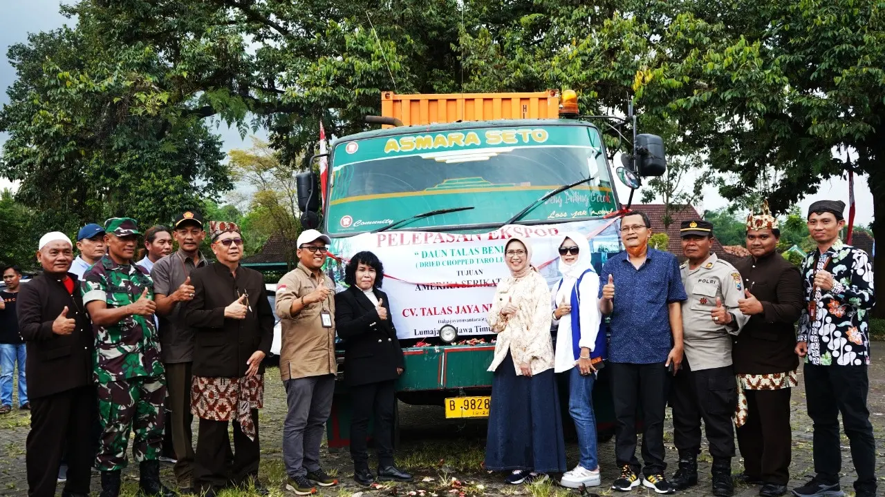 KabupatenLumajang mengekspor daun talas bening ke Amerika Serikat. (Istimewa)