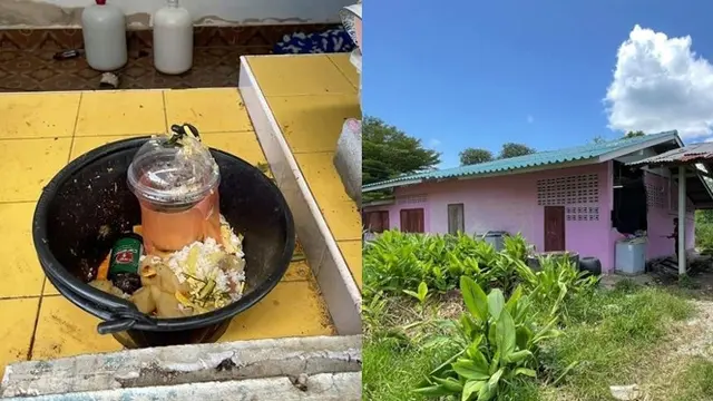 Kelaparan, Gajah Ini Jebol Dinding Dapur Rumah Warga Demi Curi Makanan