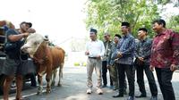 Pada momen Iduladha 1446 H ini, PT Semen Indonesia (Persero) Tbk (SIG) membagikan hewan kurban sebanyak 237 ekor yang tersebar di 20 provinsi.
