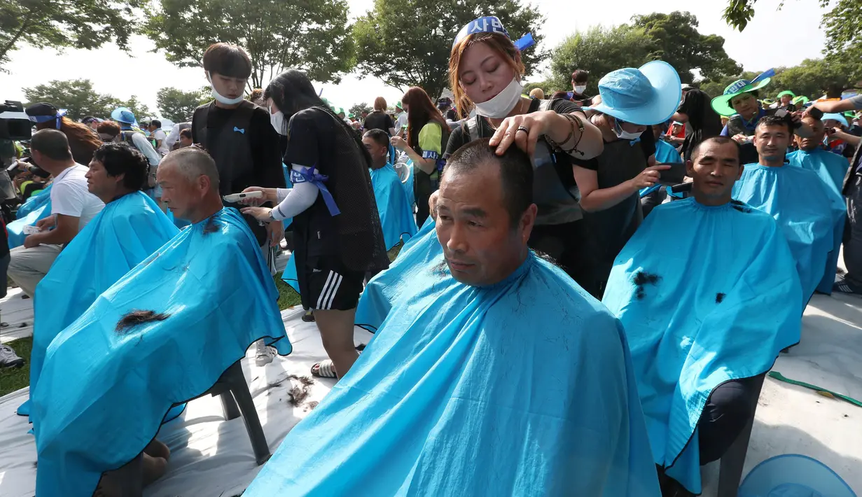 Warga mencukur rambut saat protes terhadap keputusan pemerintah yang menempatkan alat pertahanan anti rudal AS Terminal High Altitude Area Defence (THAAD) di Seongju, Korea Selatan, Senin (15/8).( Reuters/Kim Jun- beom)