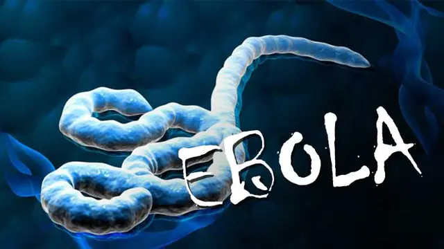 Ilustrasi Virus Ebola